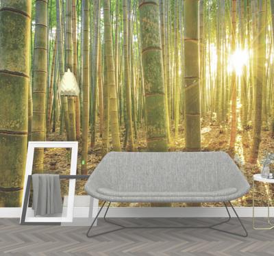 Zen ruimte fotobehang bamboe bomen in bos