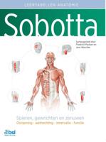 Sobotta Tabellen over spieren, gewrichten en zenuwen (Paperback) Sobotta Tabellen over spieren, gewrichten en zenuwen (Paperback)