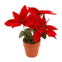 Kunstplantje - Kerstster - rood - 20 cm - voor binnen - thumbnail