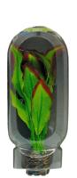 Superfish easy plant middel 20 cm nr. 9 - Superfish