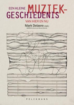 Een kleine muziekgeschiedenis van hier en nu (Paperback)
