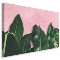 Schilderij - Bananenblad op roze achtergrond, 4 maten, premium print - thumbnail