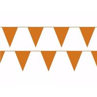 Oranje slinger 10 meter - Vlaggenlijnen - thumbnail