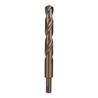 RUKO 2005170 HSSE-Co 5 Hout-spiraalboor 17 mm Gezamenlijke lengte 184 mm DIN 338 1 stuk(s)