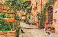 Steeg katten 140x90cm Tuindoek - Customize it