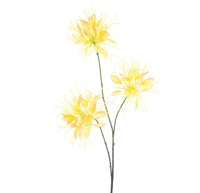 Spider flower spray yellow 94 cm kunstbloem Erutan Avon - Erutan avon
