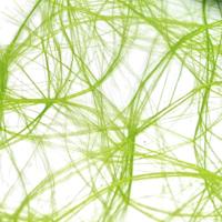 Vaessen Creative • sizoweb 25mx30cm limoen