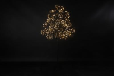Kerstboom LED Dorion L zwart Countryfield - Countryfield Kerstboom LED Dorion L zwart Countryfield - Countryfield