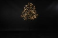 Kerstboom LED Dorion L zwart Countryfield - Countryfield
