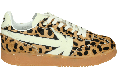 Kaotiko BOSTON V LEOPARD - alle