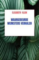 Waargebeurde werkster verhalen - Elisabeth Klein - ebook