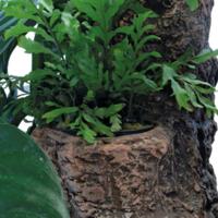 Sf scapers floating planty l - Superfish