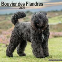 Bouvier Kalender 2026