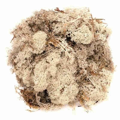 Decoratie nep mos - 3x - naturel - 50 gram - Hobby/knutselen - herfst/kerst thema decoreren