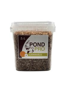 Pond Pro Gammarus Koi Snack - 5L Emmer Hoogwaardig Eiwitrijk & Kleurversterkend Voer