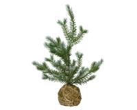 everlands kunstkerstboom op mosbol H42cm everlands kunstkerstboom op mosbol H42cm
