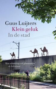 Klein geluk In de stad - Guus Luijters - ebook