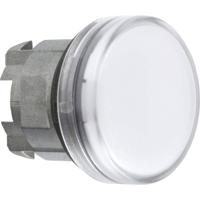 Schneider Electric ZB4BV01 Verlichte melder 1 stuk(s)