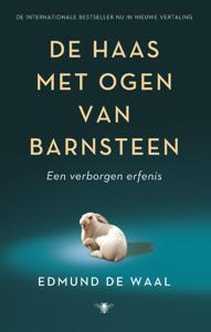 De haas met ogen van barnsteen (Paperback)