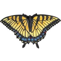 Gekleurde pages vlinder dieren magneet 7 cm - thumbnail
