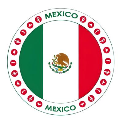 25x Bierviltjes Mexico thema print