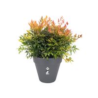 elho loft urban round 70 Buiten Plantenpot Vrijstaand Polypropyleen (PP) Antraciet - thumbnail