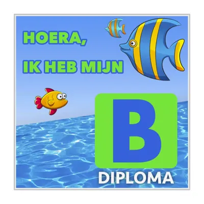 Zwemdiploma B Tegeltje