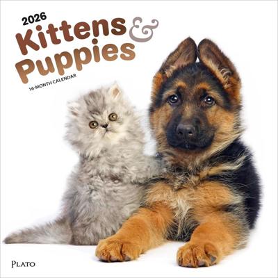 Kittens and Puppies Kalender 2026
