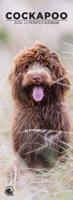 Cockapoo Slimline Kalender 2026