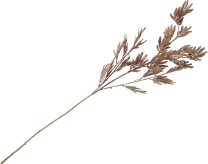 Siertak Mimosa leaf spray