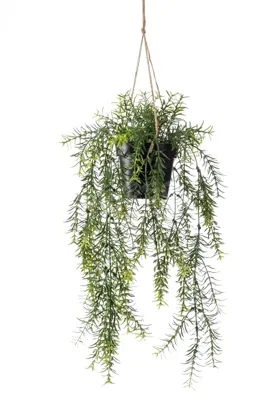 Kunst Hangplant Asparagus 40cm
