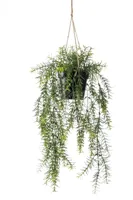 Kunst Hangplant Asparagus 40cm