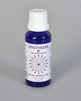 Vita Syntheses 87 hersenmetabolie (30 ml)
