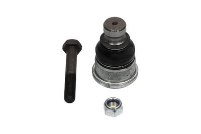 Fuseekogel SBJ6564