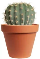 Kunstplant cactus 14cm groen (excl. pot)