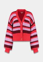 Harper & Yve Vest AW25W800
