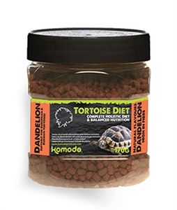 Komodo voer schildpad paardenbloem
