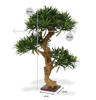 DesignPlants: Podocarpus Kunstbonsai Boom Deluxe 65cm - Groen