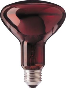 Philips R95 IR 100W E27 230V Red 1CT/25 infrarode lamp Peer