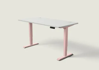Desktronic HomePro bureau Zachtroze / Grijs / 160x80 cm