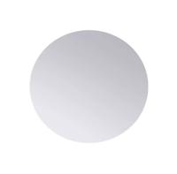 RVS schijf Ø40x3 mm (set van 2 stuks) - per stuk