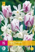 X 15 Tulipa/Narcissus Folk Story