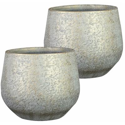 Ter Steege Plantenpot/bloempot - 2x stuks - keramiek - metallic zilvergrijs - touch of gold - D19/H1
