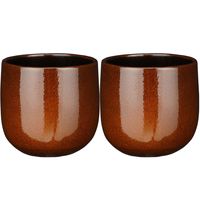 2x stuks plantenpot/bloempot terra bruin speels licht gevlekt patroon - D21/H19 cm