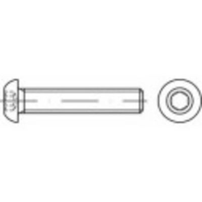 TOOLCRAFT TO-5378157 Lenskopschroeven M6 10 mm Binnenzeskant (inbus) RVS A2 500 stuk(s)