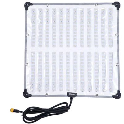 Amaran F22x (EU)