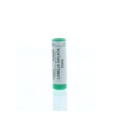 Lobelia inflata 10MK