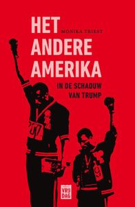 Het andere Amerika - Monika Triest - ebook