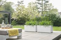 Bloempot Vivo Next Lang 60cm wit elho - Elho