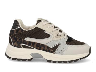 VIA VAI Danae Vicky 62297 combi creme multi bruin maat 38
